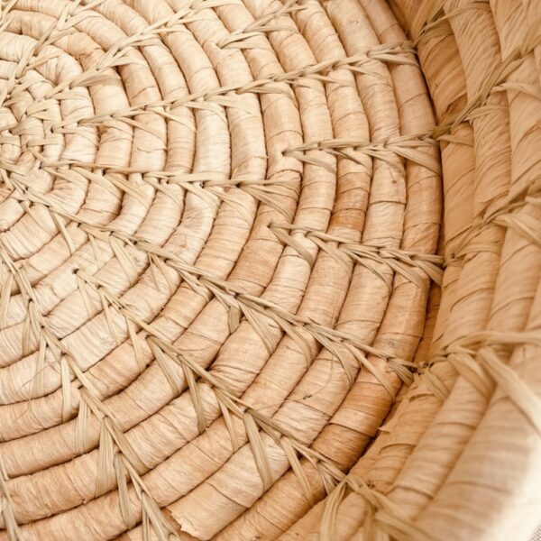 FRUTERO PLATANO: imagen 2