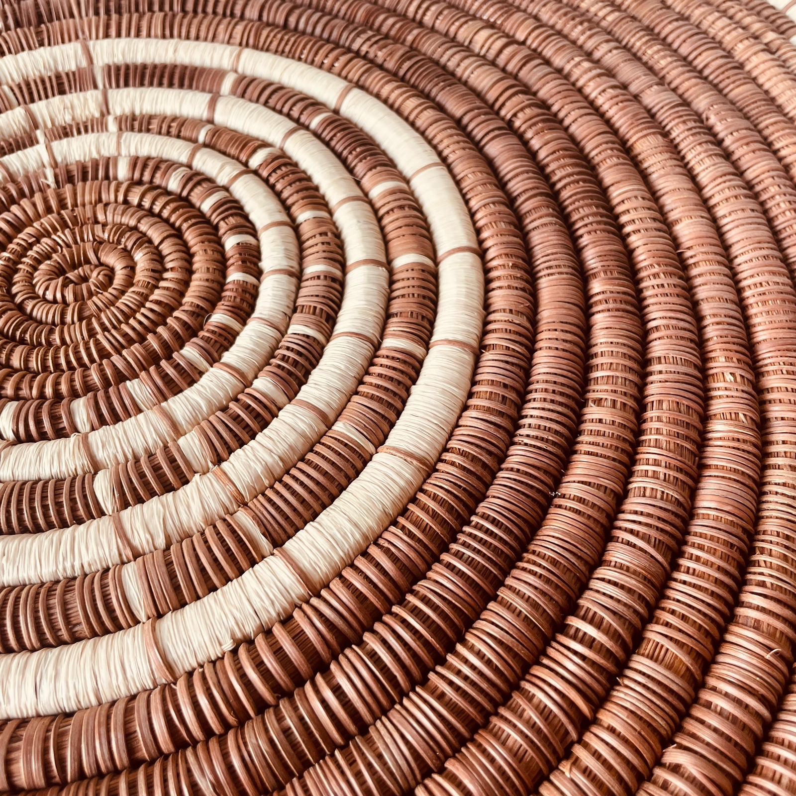 DISCO INFINITO: imagen 2