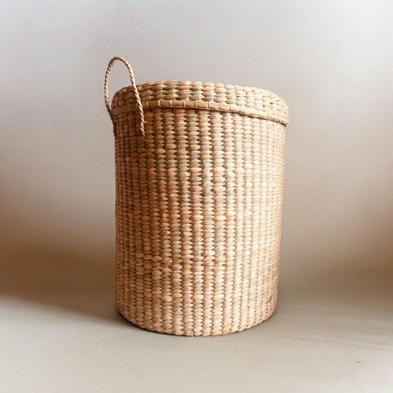 CESTA ENEA: imagen 2