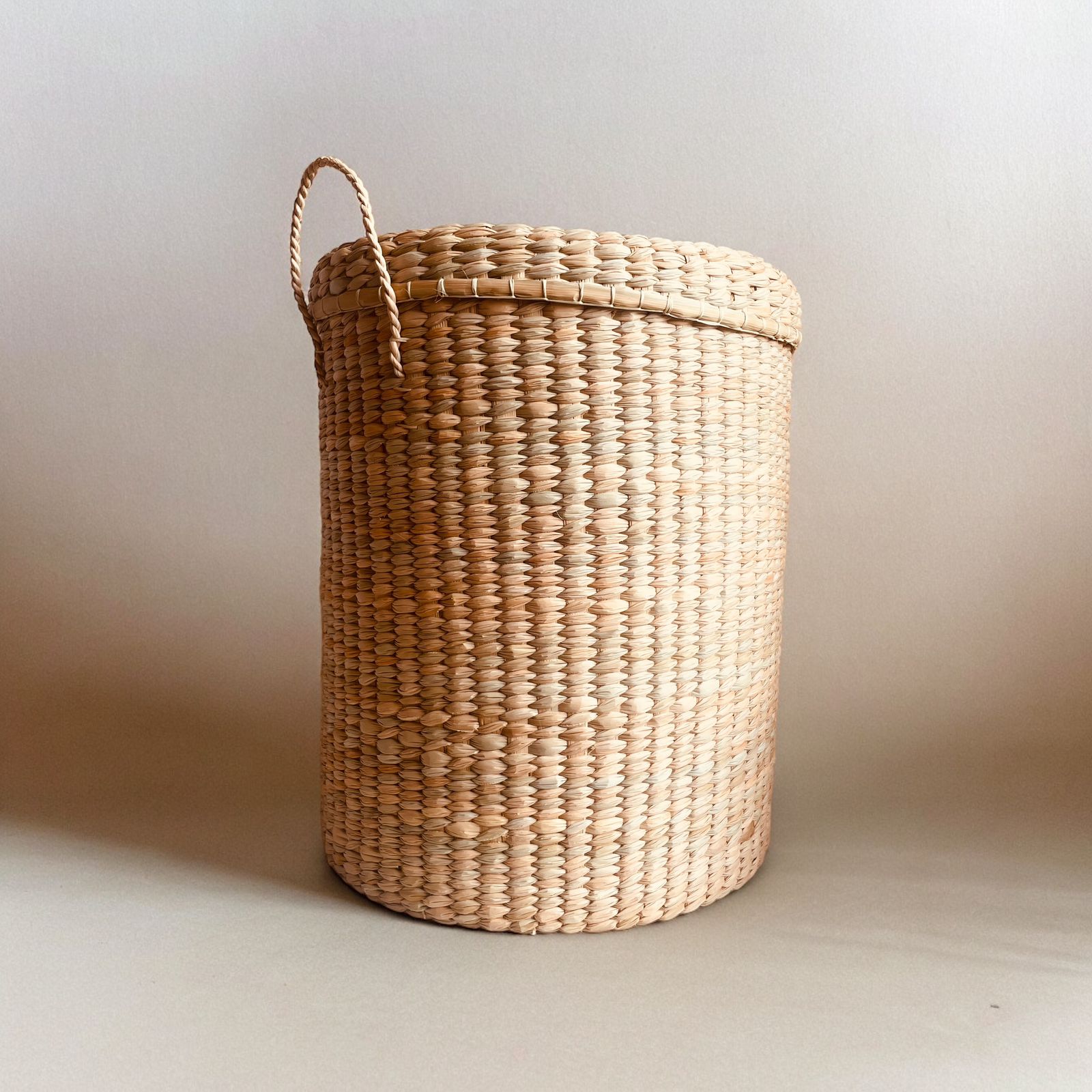 CESTA ENEA: imagen 2