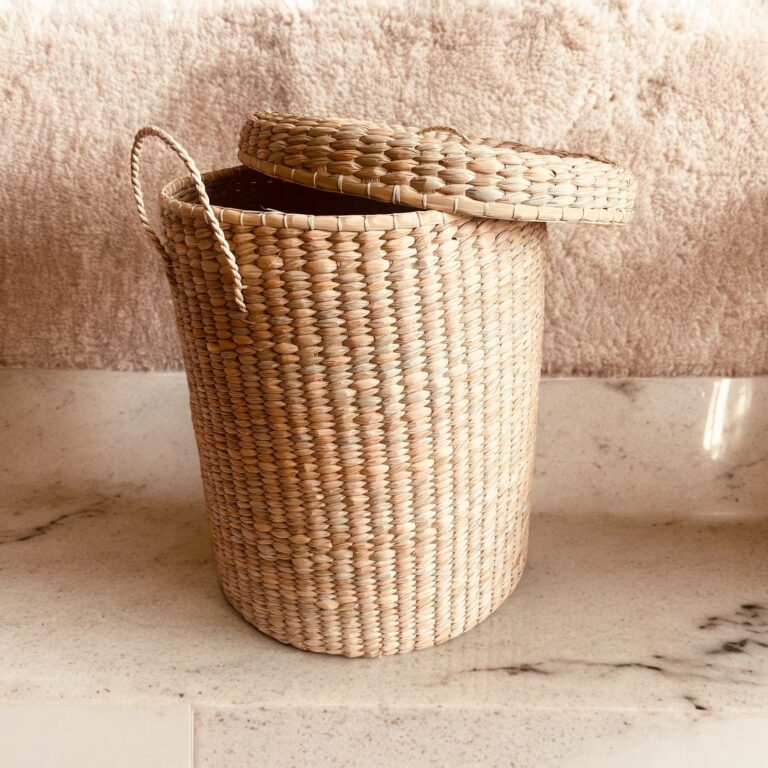 CESTA ENEA: imagen 3
