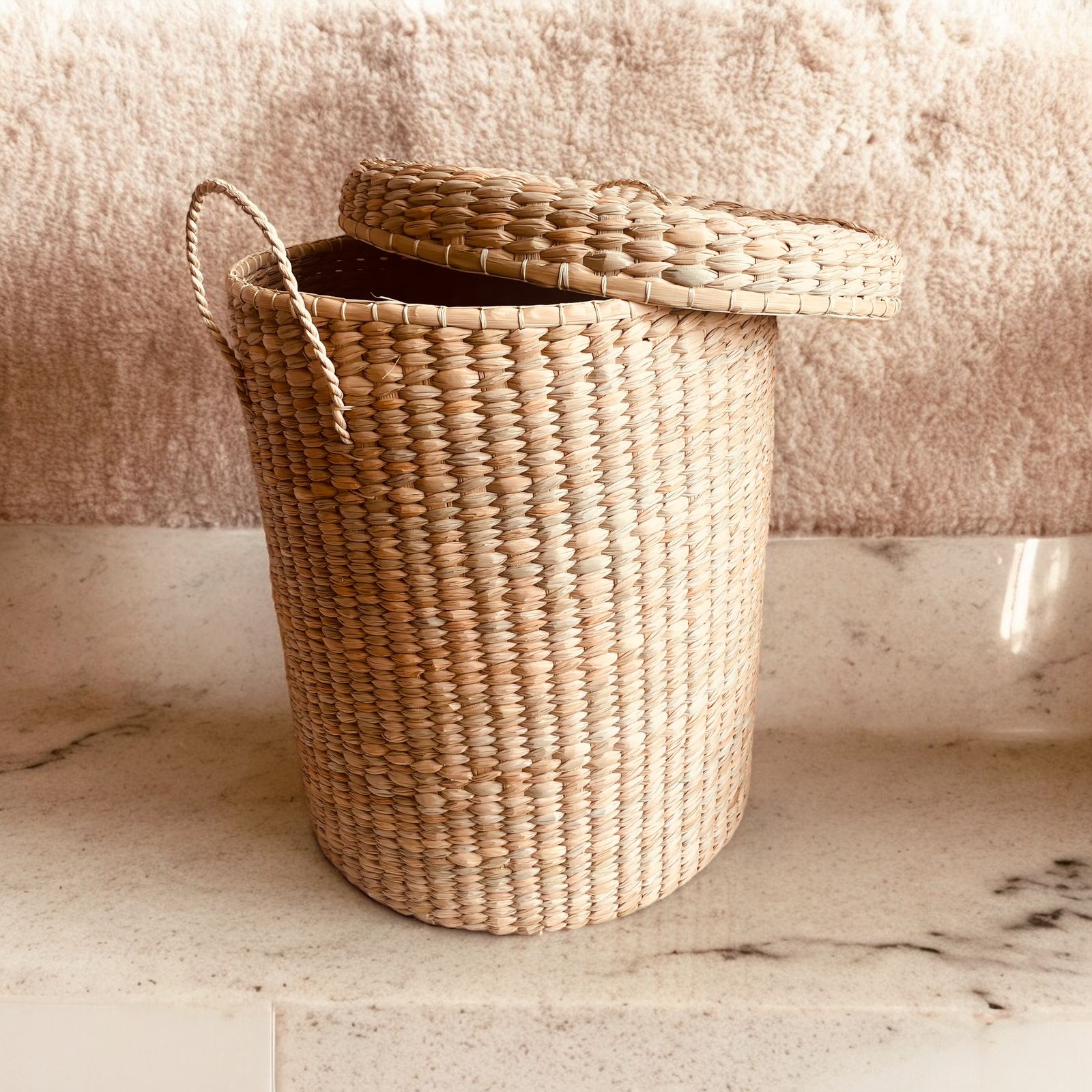 CESTA ENEA: imagen 3