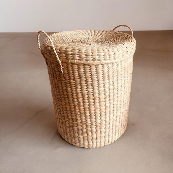 CESTA ENEA