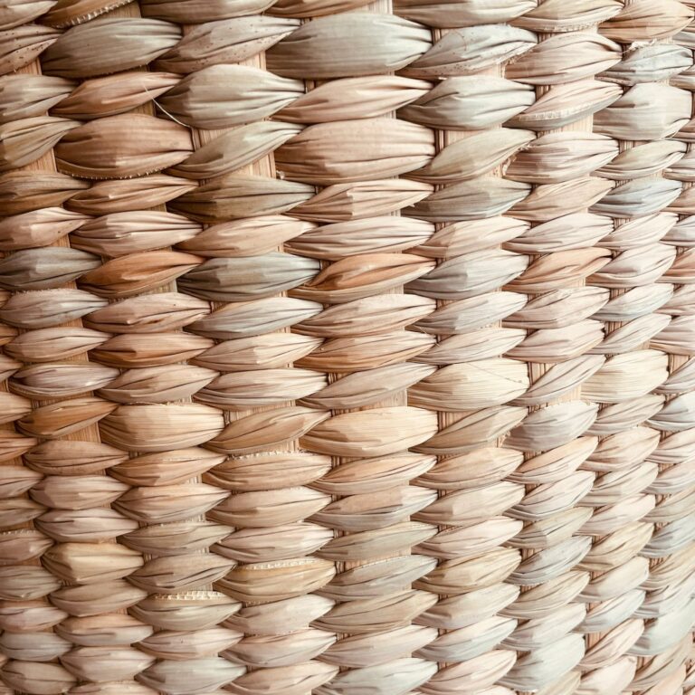 CESTA ENEA: imagen 4