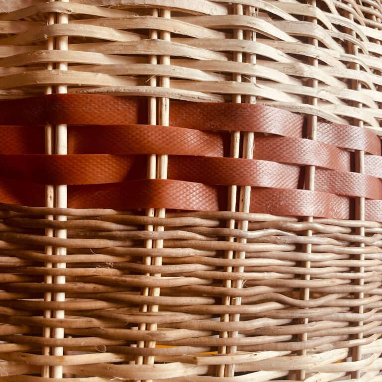 COLECTIVA TIERRA: imagen 5