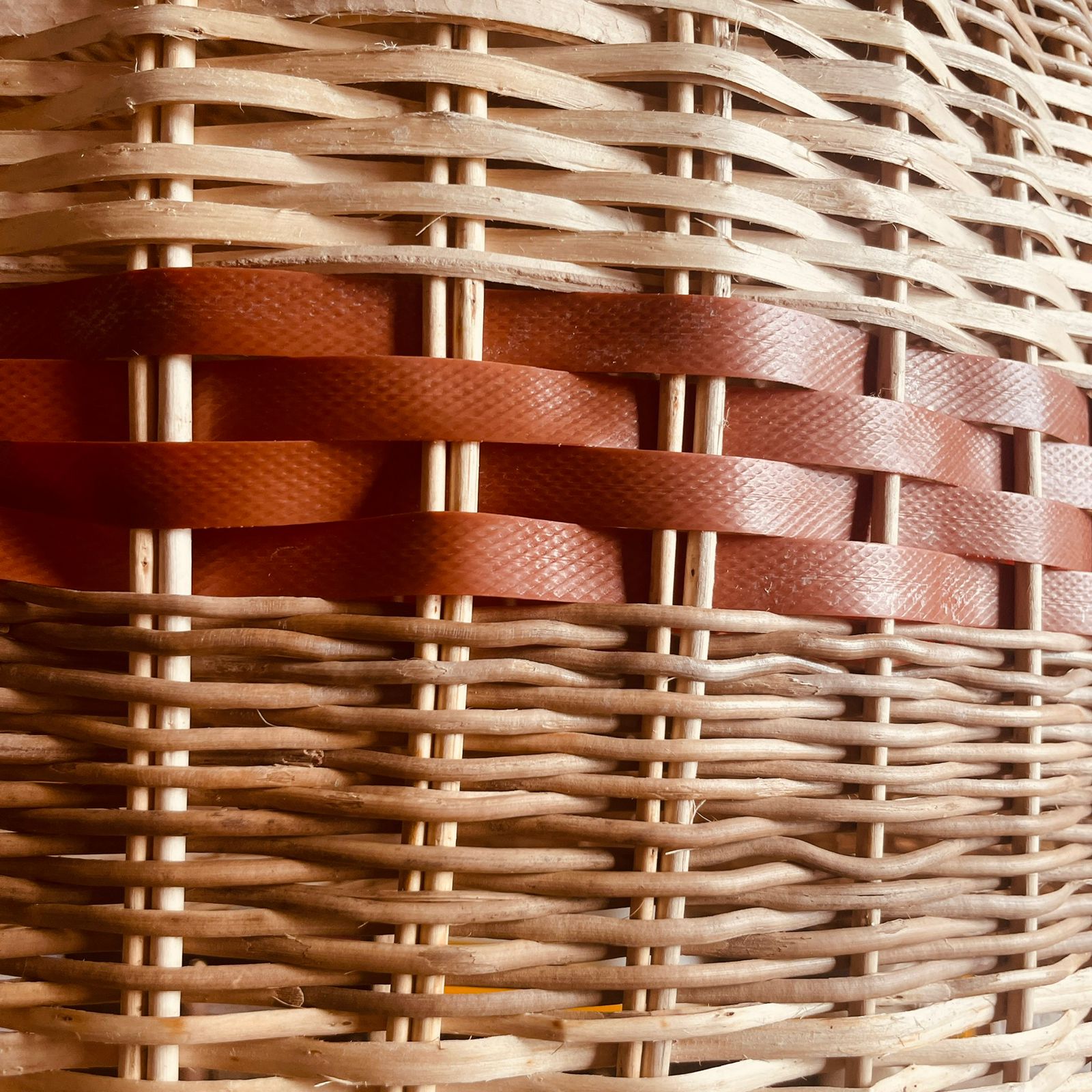 COLECTIVA TIERRA: imagen 5