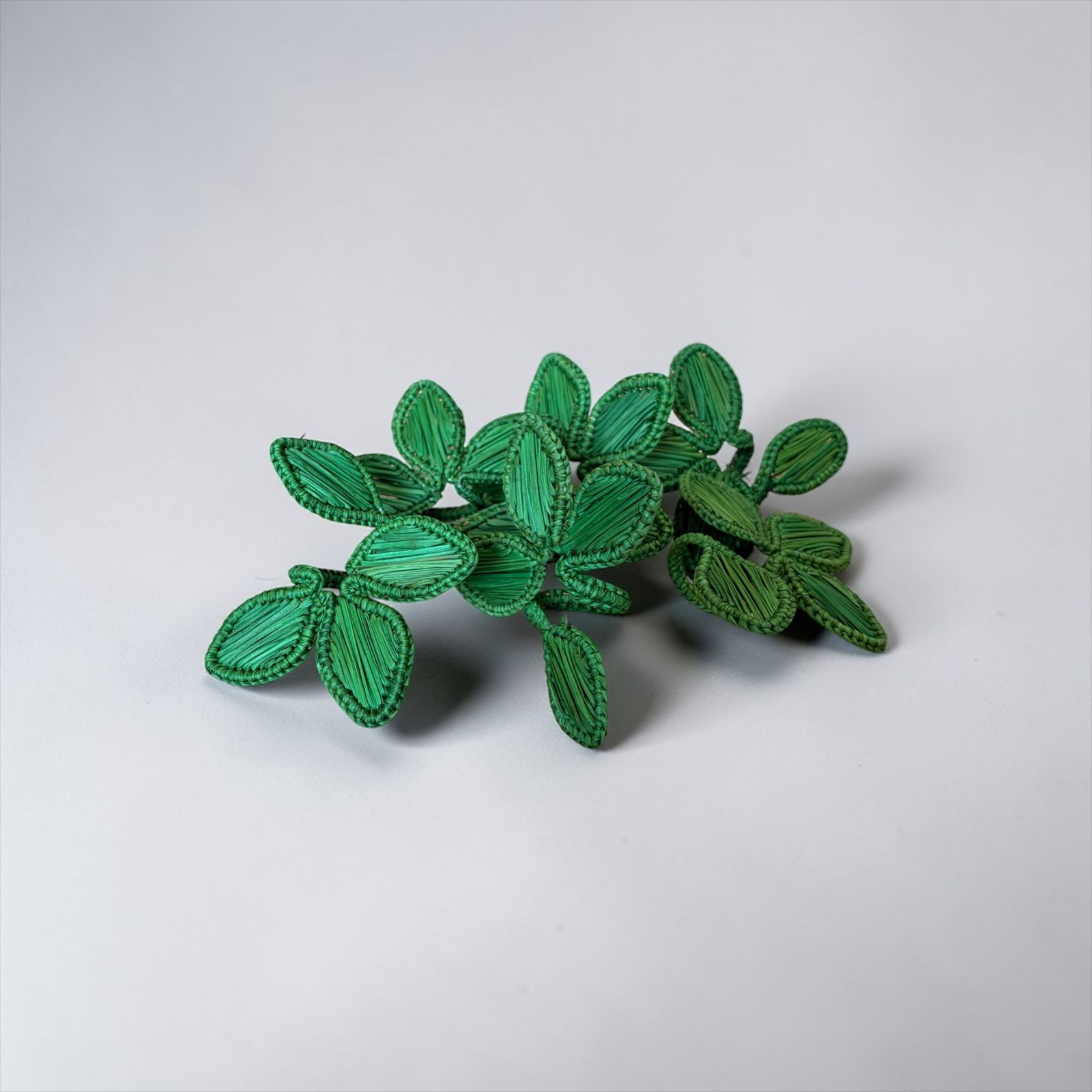 SERVILLETERO  IRACA: imagen 1