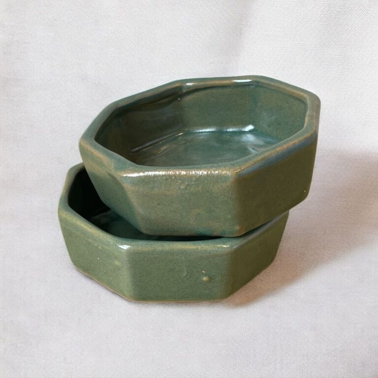 PLATO HEXAGONAL: imagen 4