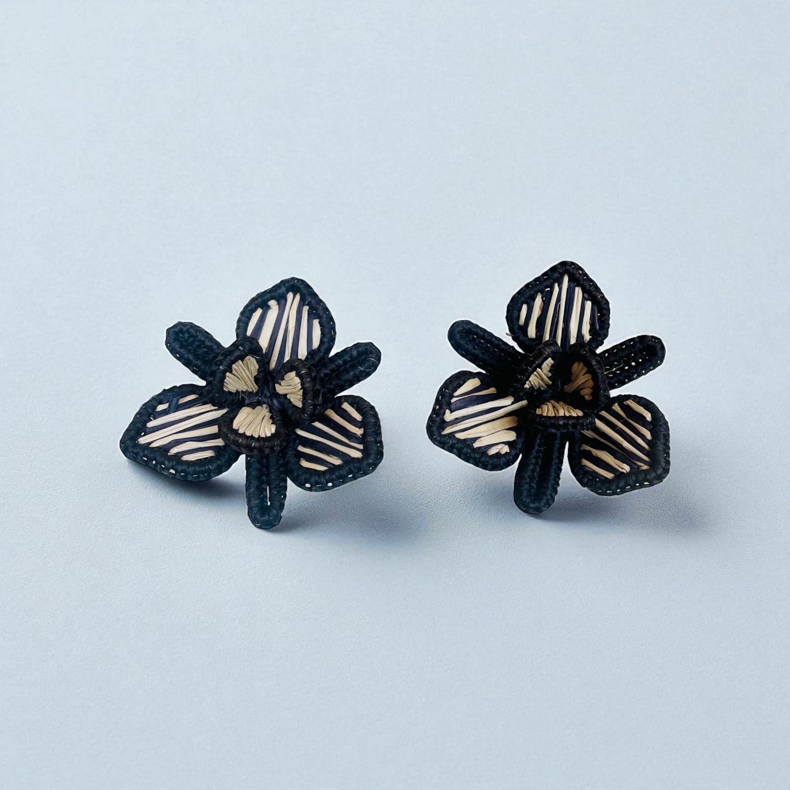 ARETES ORQUIDEAS N&B: imagen 1