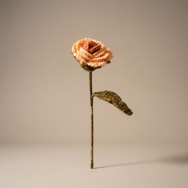 ROSA DURAZNO: imagen 3