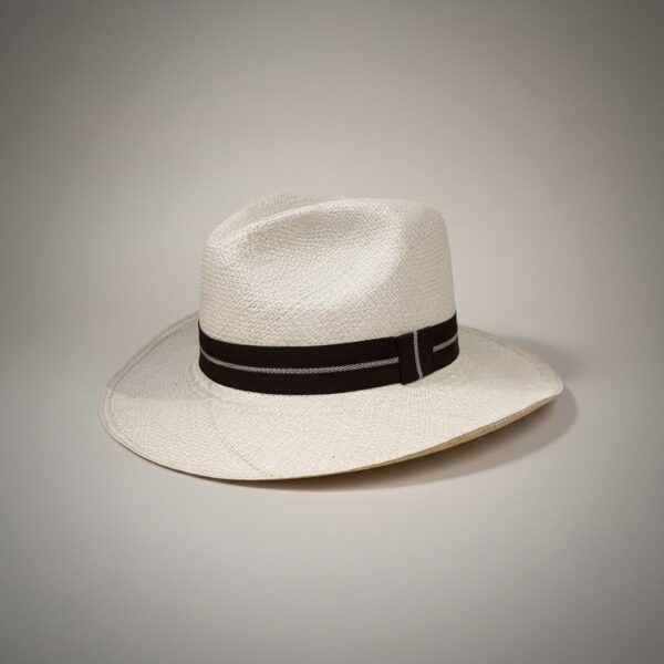 SOMBRERO PANAMA: imagen 1